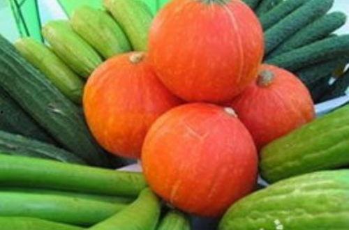 吃生瓜菜,探寻生瓜菜的独特风味与营养价值