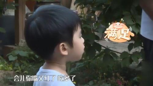 小九吃瓜干,揭秘网红零食背后的故事