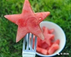 小九吃瓜干,揭秘网红零食背后的故事