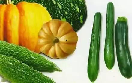 李宁带你吃瓜,一场别开生面的美食之旅