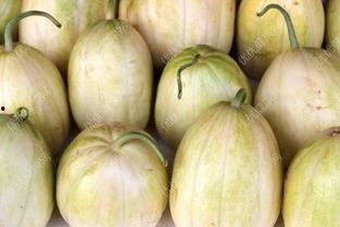 哺乳可以吃瓜尖吗