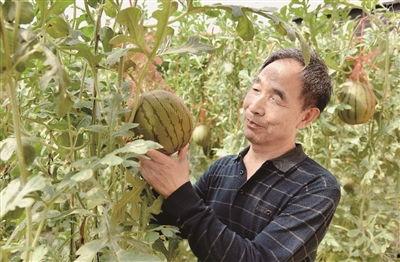 芯蕊吃瓜,揭秘娱乐圈幕后故事