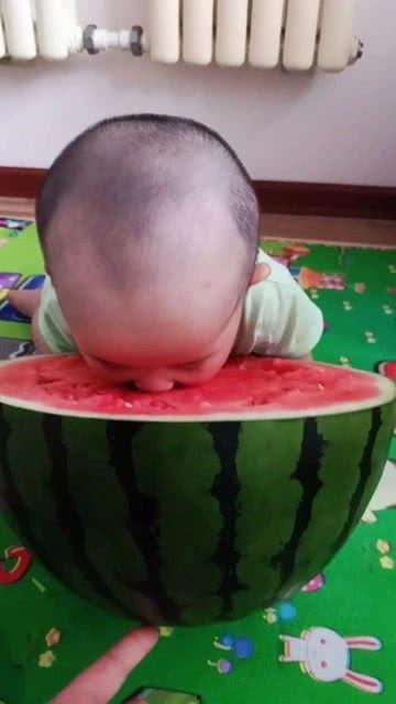 熊孩子的吃瓜,一场关于好奇与成长的趣味之旅