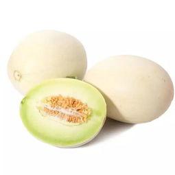 硕瓜可以吃吗,硕瓜的食用价值与食用方法揭秘