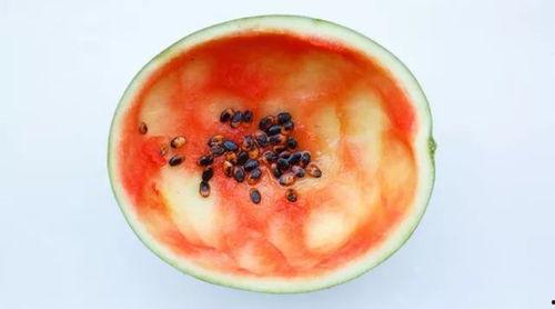 勺子吃瓜视频大全,揭秘热门视频背后的趣味故事