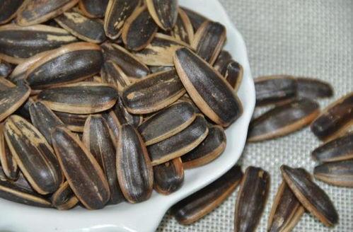 吃瓜吃瓜子会不会,吃瓜与吃瓜子的趣味探索