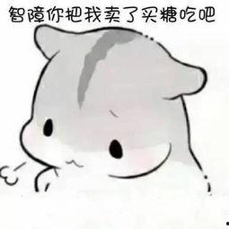 仓鼠吃瓜的表情包,萌态可掬，瓜香四溢