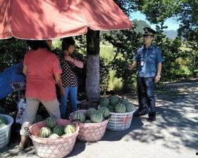 吃瓜群众滑杆,揭秘网络热词背后的趣味与思考