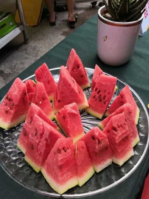 重庆高中吃瓜,吃瓜群众的热议焦点