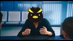 企鹅吃瓜福利,揭秘萌宠的夏日狂欢盛宴