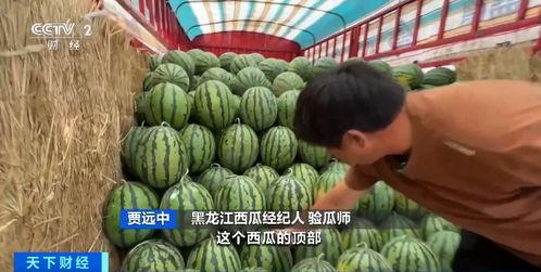 吃瓜群多少钱,揭秘神秘社交圈，仅需多少钱即可加入