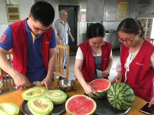 吃瓜老爷奶奶,揭秘吃瓜老爷奶奶的趣味生活