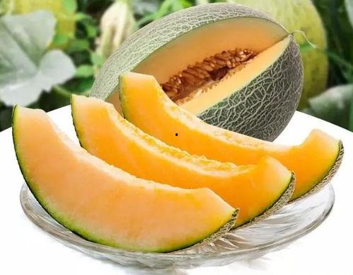 张掖瓜州吃瓜,一场甜蜜的味蕾之旅 第3张 张掖瓜州吃瓜,一场甜蜜的味蕾之旅 第3张