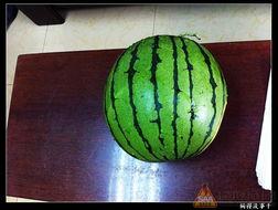 开始吃瓜吧,从“开始吃瓜吧”看明星幕后故事  第3张