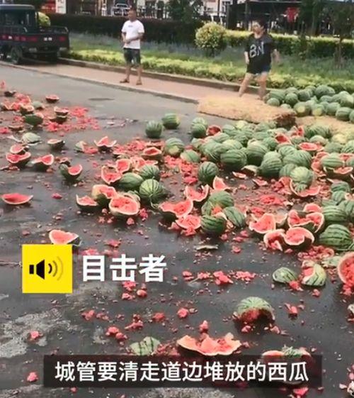 瓜农摔瓜请朋友吃瓜