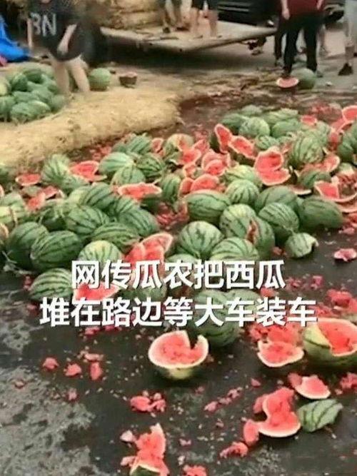 瓜农摔瓜请朋友吃瓜  第3张