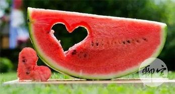 免费吃瓜  第2张