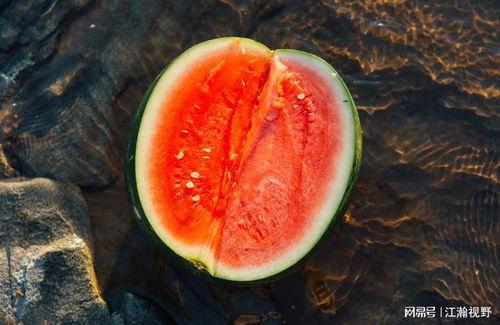 吃瓜31种体液,探寻生命之源的秘密  第3张