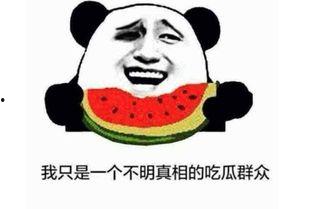 吃瓜干部的意思,网络热词背后的现象与反思  第2张