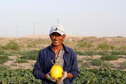 甘肃民勤吃瓜节,共庆丰收吃瓜节