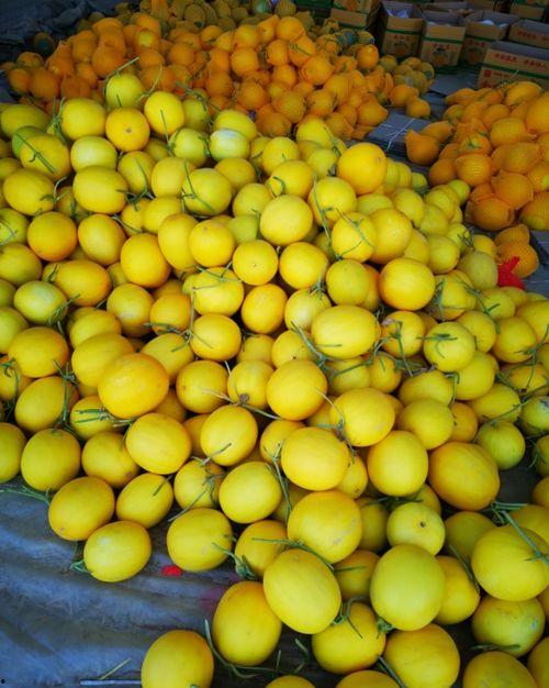 甘肃民勤吃瓜节,共庆丰收吃瓜节  第2张