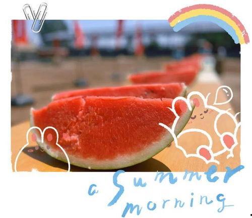 琉璃吃瓜现场图片,揭秘娱乐圈幕后风云