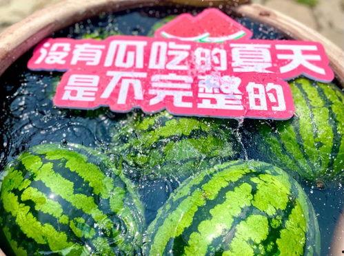 琉璃吃瓜现场图片,揭秘娱乐圈幕后风云  第3张