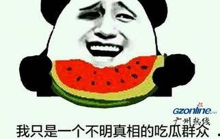 连麦吃瓜内幕,揭秘连麦吃瓜背后的真实内幕