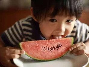 直播笨笨吃瓜图片,笨笨萌宠大吃瓜，萌态十足引网友热议  第3张