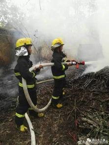 砀山吃瓜跳楼,一场悲剧引发的反思与警示  第3张