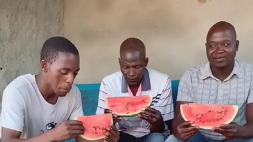 河南逗哥吃瓜事件,网络舆论的狂欢与反思