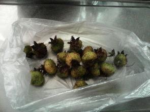 刺梨吃瓜的做法,创意吃瓜新体验  第2张