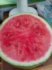 吃瓜医院,一场医疗界的“瓜田”风云