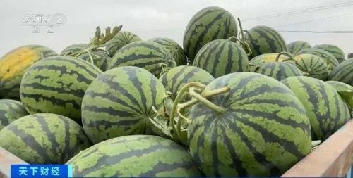 吃瓜李的动画,动画中的美食探险之旅  第3张